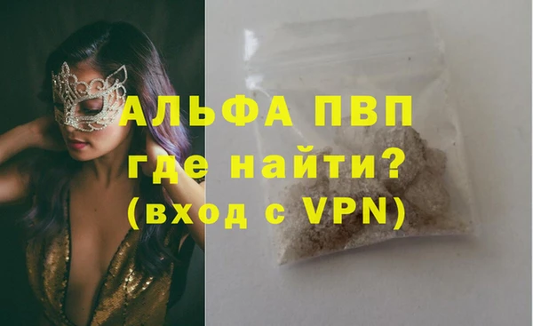 прущие грибы Михайлов