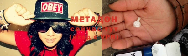 прущие грибы Михайлов