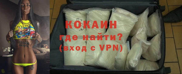 прущие грибы Михайлов