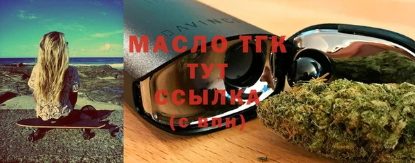 прущие грибы Михайлов