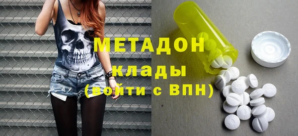 прущие грибы Михайлов