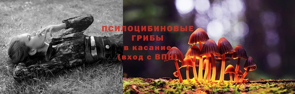 ешки Абаза